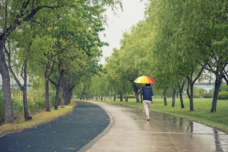 8-3 삼락생태공원