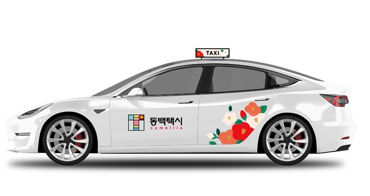 Convenient Dongbaek taxi service