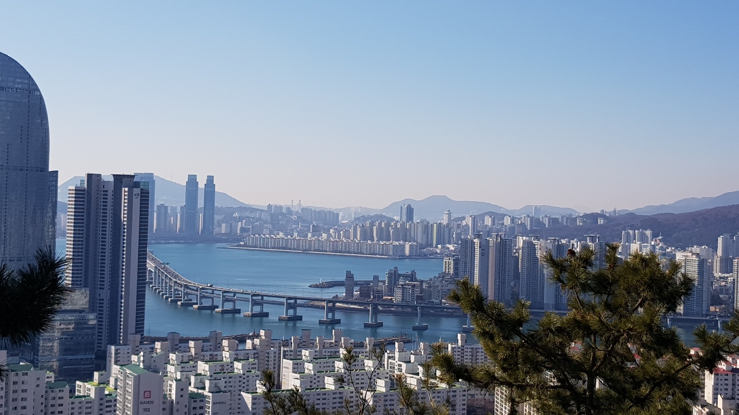 정상전경