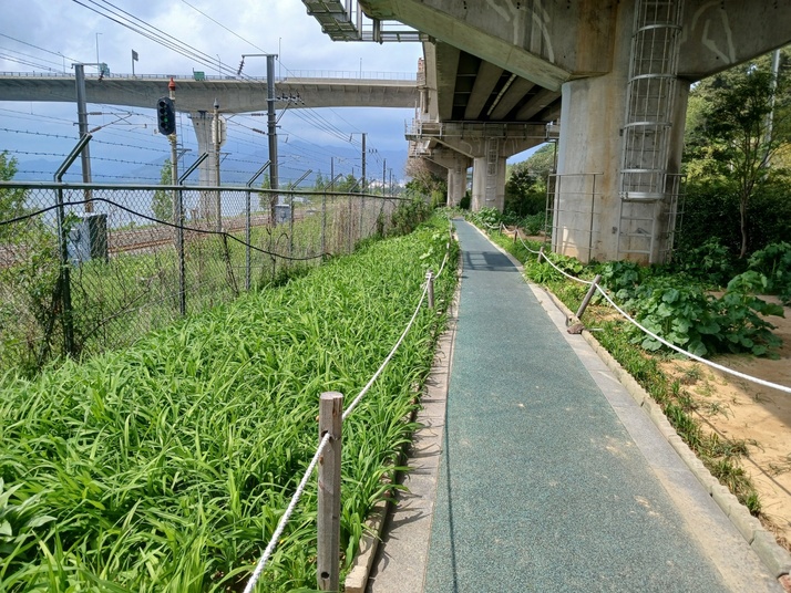 KakaoTalk_20250501_154550162