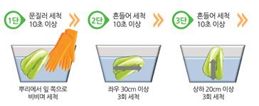 절임배추 세척법