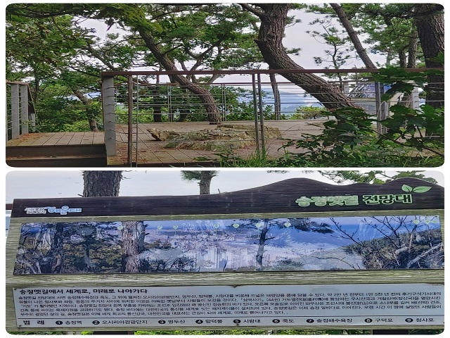 KakaoTalk_20220821_114859769_01