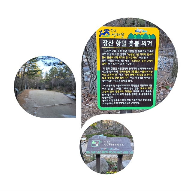 촛불광장00