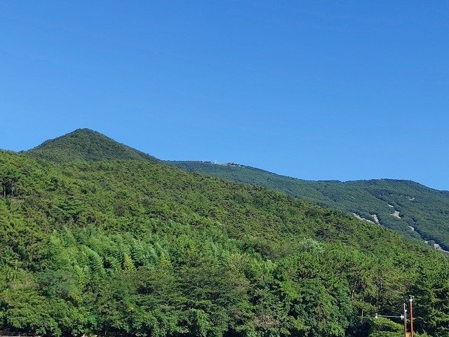 장산