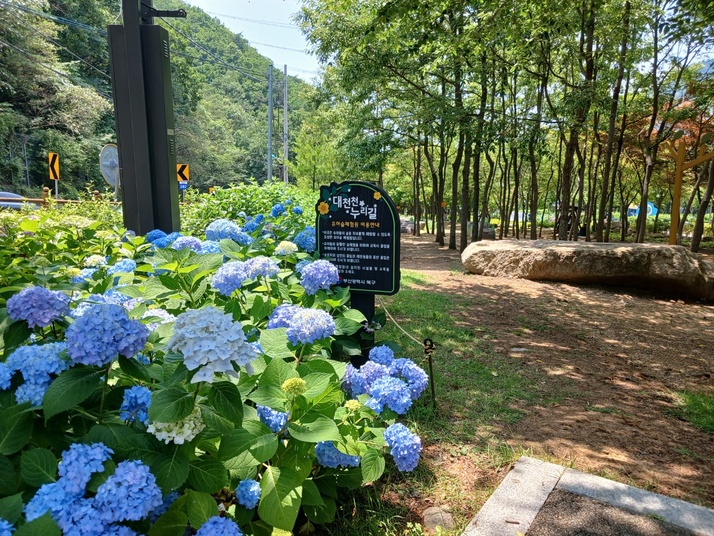 KakaoTalk_20250615_154239185