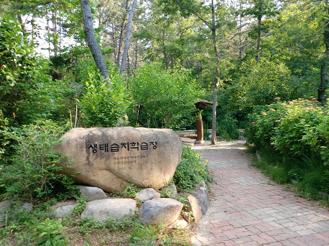 KakaoTalk_20220612_091258711_11