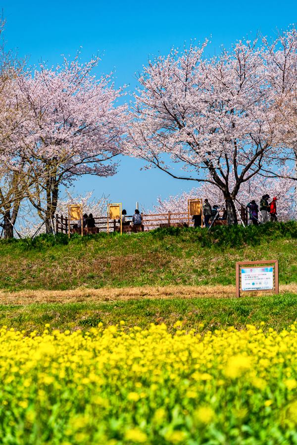 KakaoTalk_20260401_101117529_06