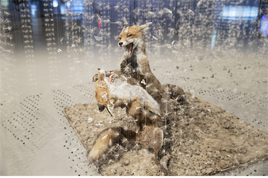 실패의 교훈 A Lesson in Failure, 2017