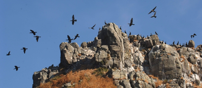 32∼33면-오륙도-3