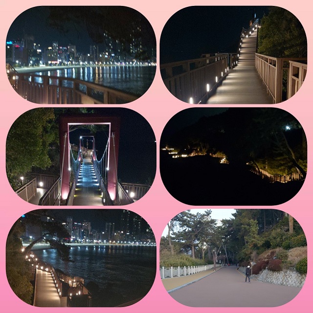 야간산책로11