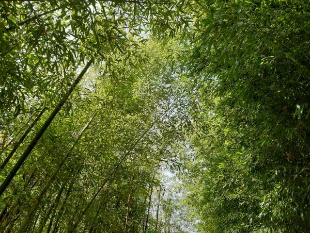 수정됨_KakaoTalk_20220416_145741616