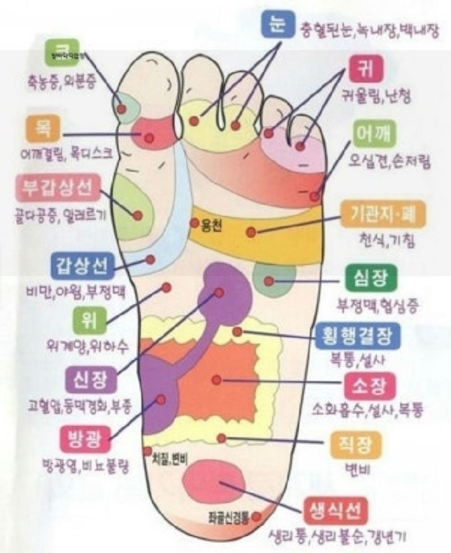 발바닥지압점3