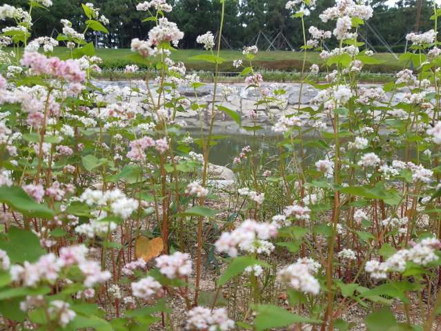 수정됨_KakaoTalk_20231008_165714009