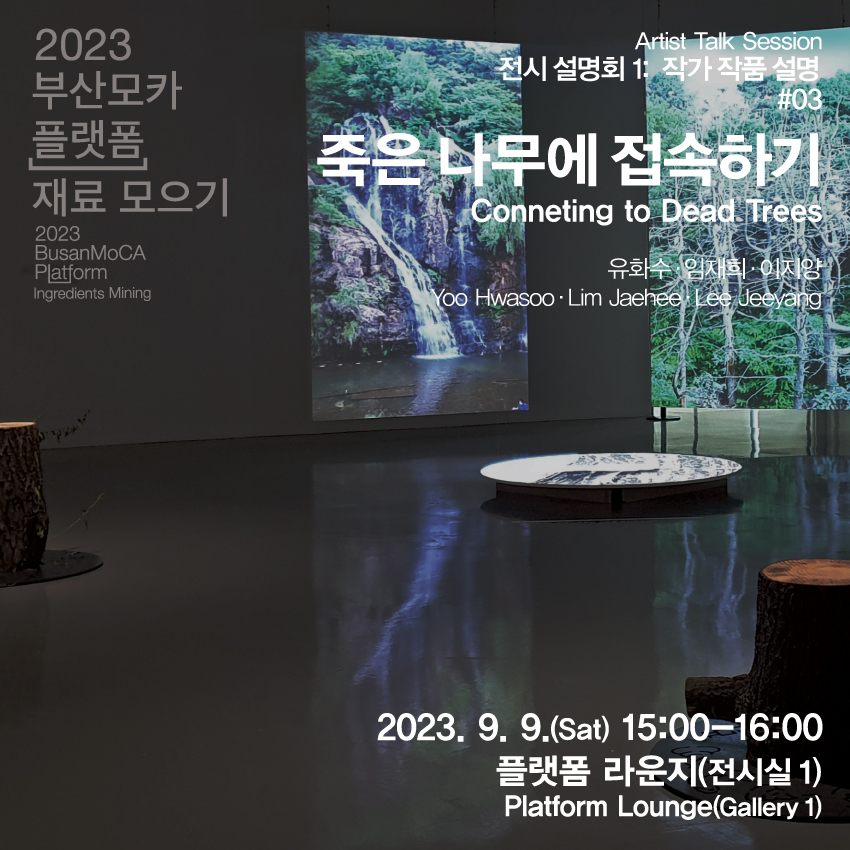 (230909) SNS_전시 설명회_죽은 나무에 접속하기