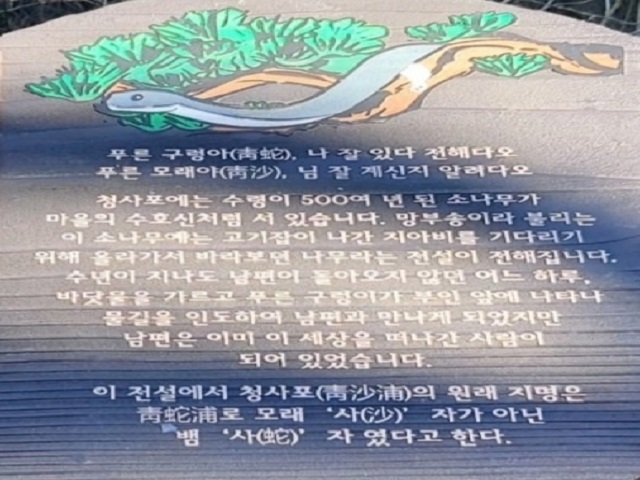 청사포 전설