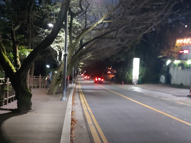 달맞이길 야간
