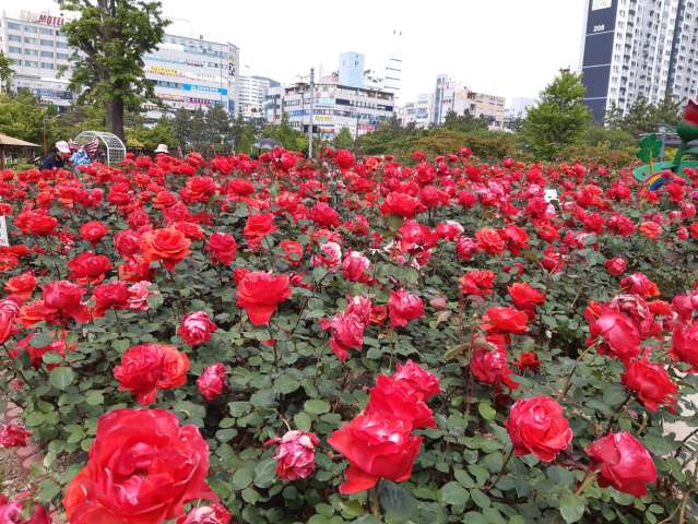 수정됨_KakaoTalk_20230512_152931433