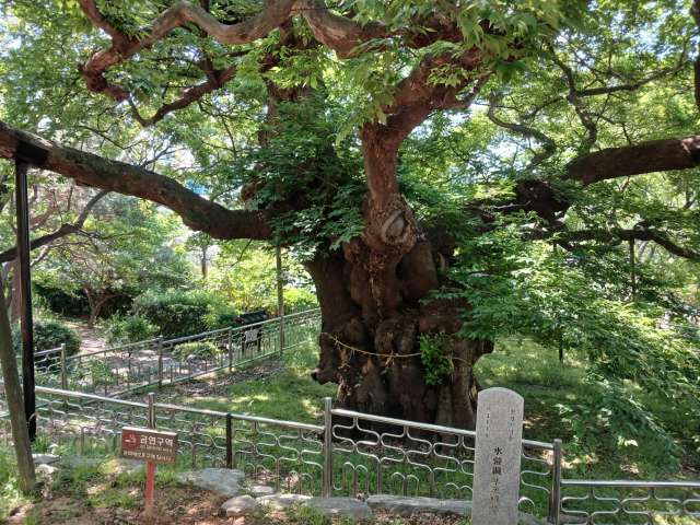 수정됨_KakaoTalk_20240515_114158380