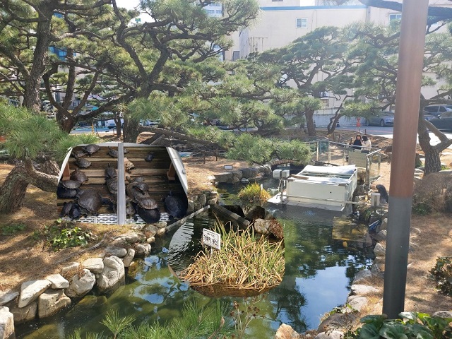 거북이동산