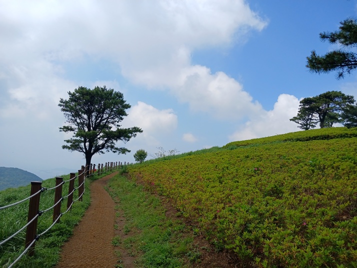 KakaoTalk_20250603_145357172