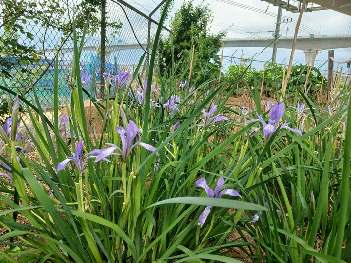 KakaoTalk_20250501_154549331