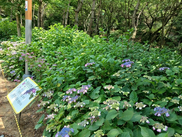 KakaoTalk_20250615_154236316