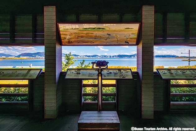 4-5-6 명지철새탐조대_부산관광아카이브_cw8