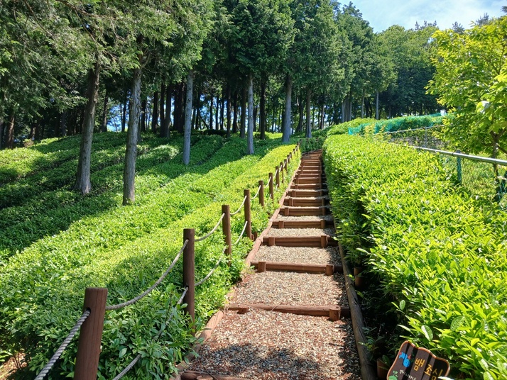 KakaoTalk_20240517_164435644