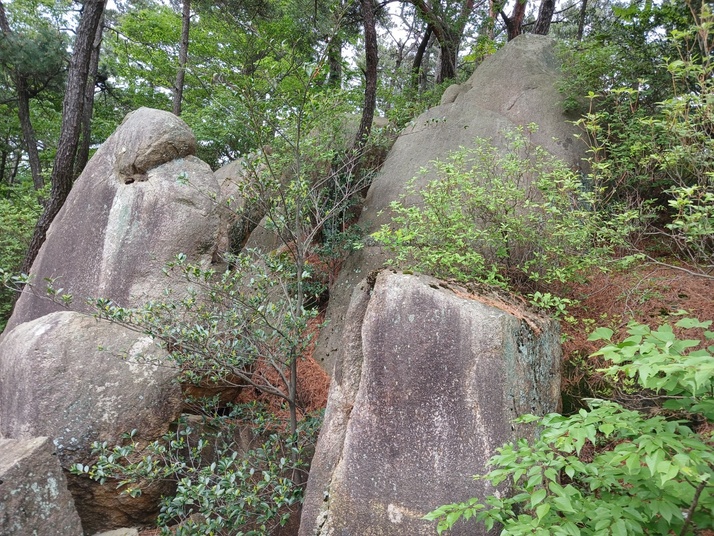 KakaoTalk_20250511_191538704