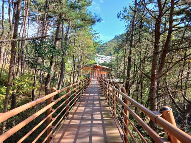 수정됨_KakaoTalk_20241029_192030873