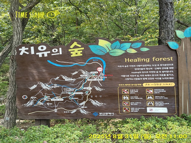 치유의숲 표지(일자)