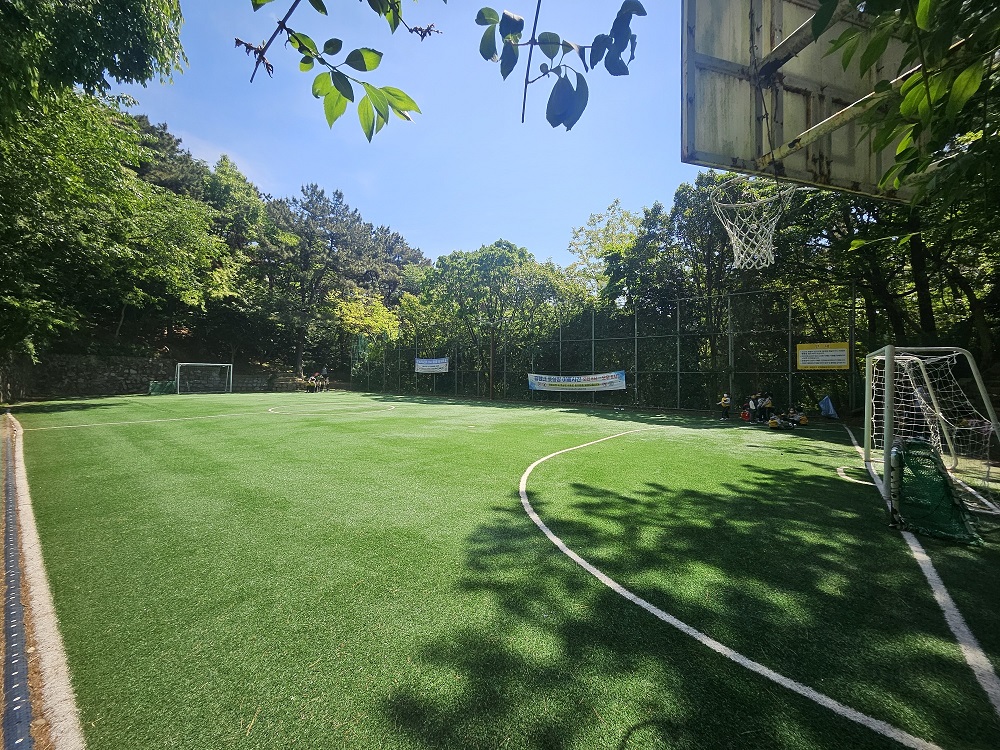 1715065377459_resized