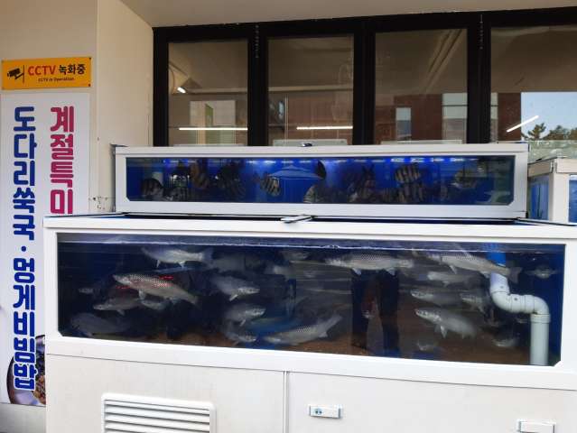 수정됨_KakaoTalk_20231112_034946015