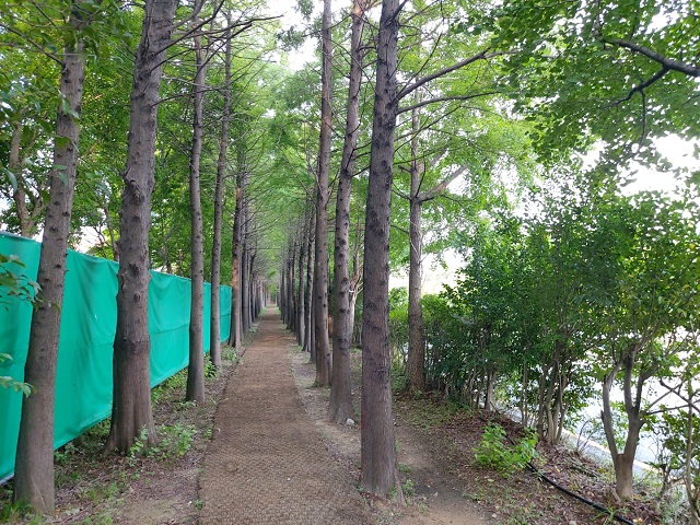 KakaoTalk_20220820_124532150_13