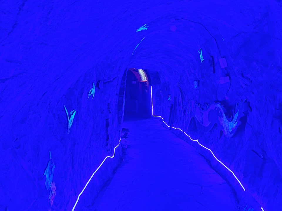 KakaoTalk_Photo_2025-06-05-18-03-44 004