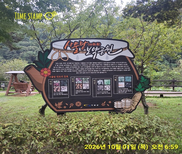 보약공원 101
