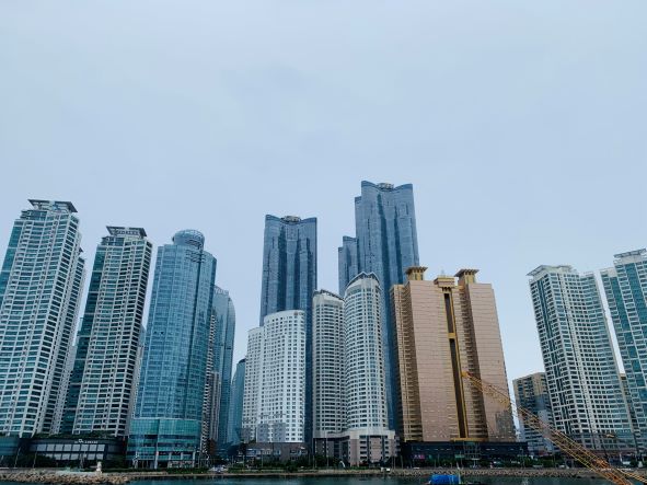 크기조정2
