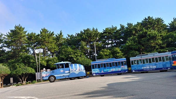 태종대 다누비열차 전체 사진2