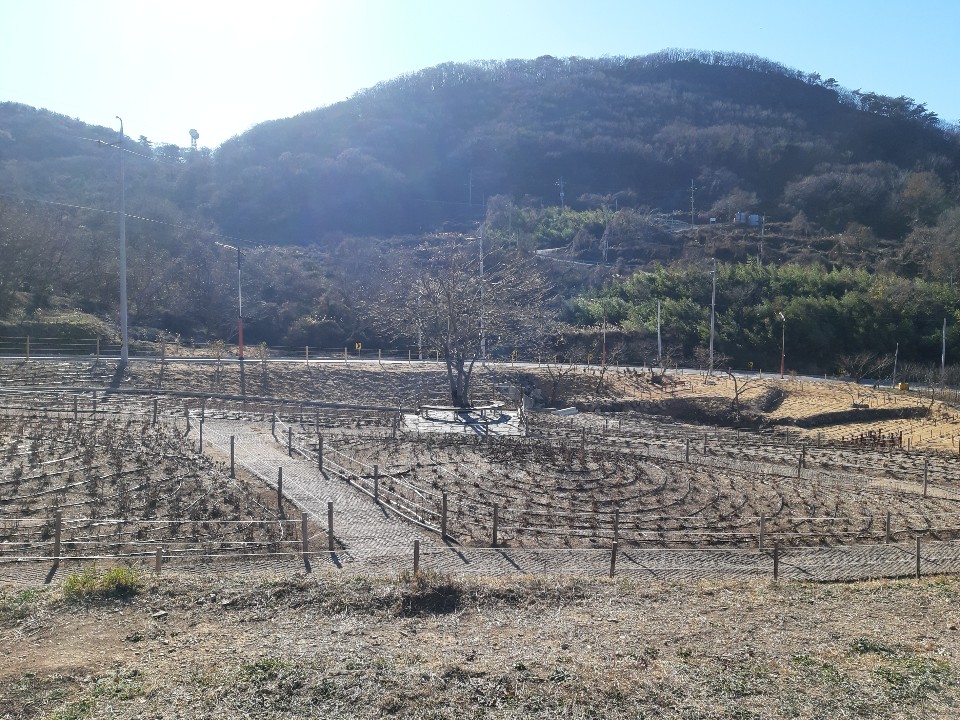 KakaoTalk_20210129_181924773