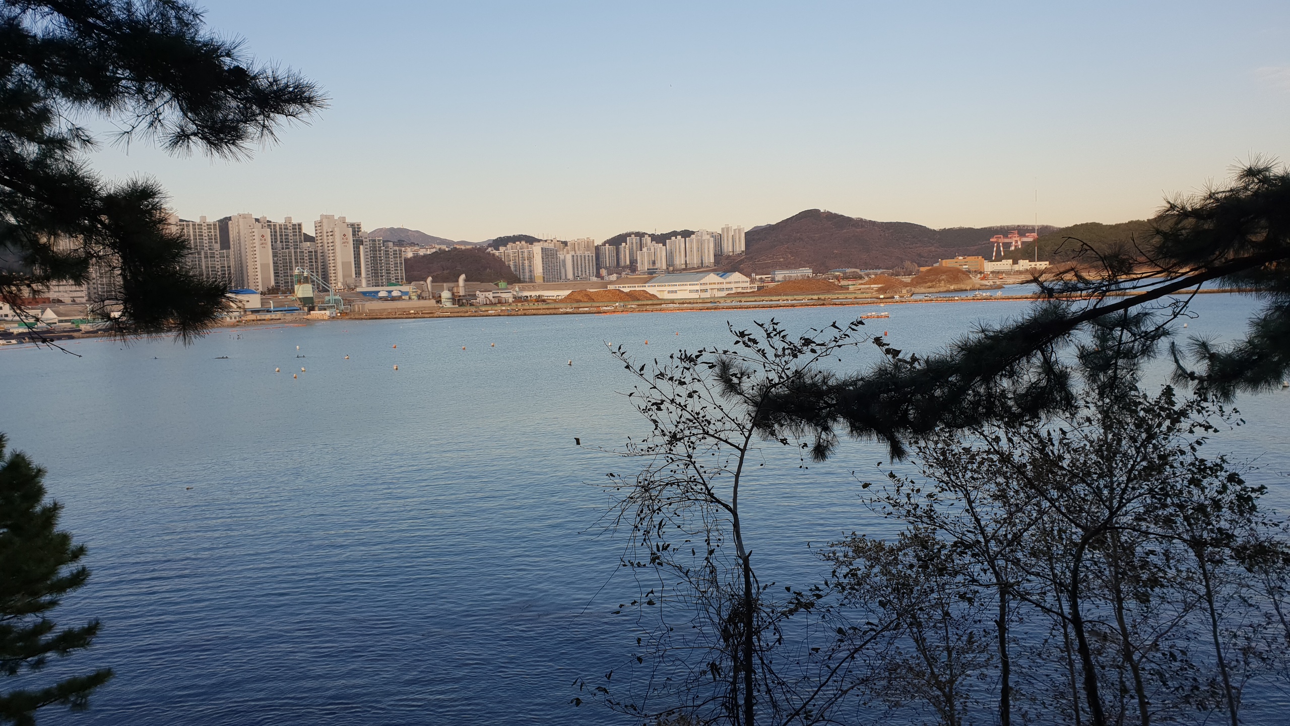 다대포해수욕장 사진