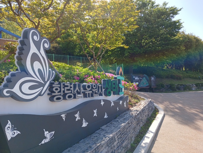 KakaoTalk_20250504_145252328