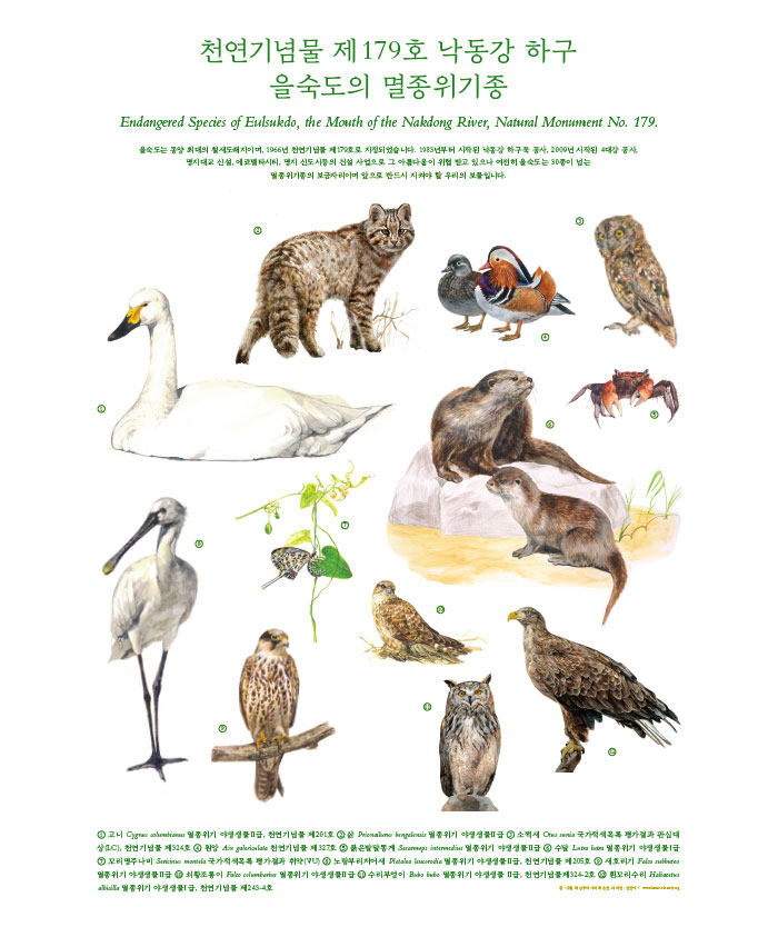 (규격 수정) 부산모카 교실_생태버스투어