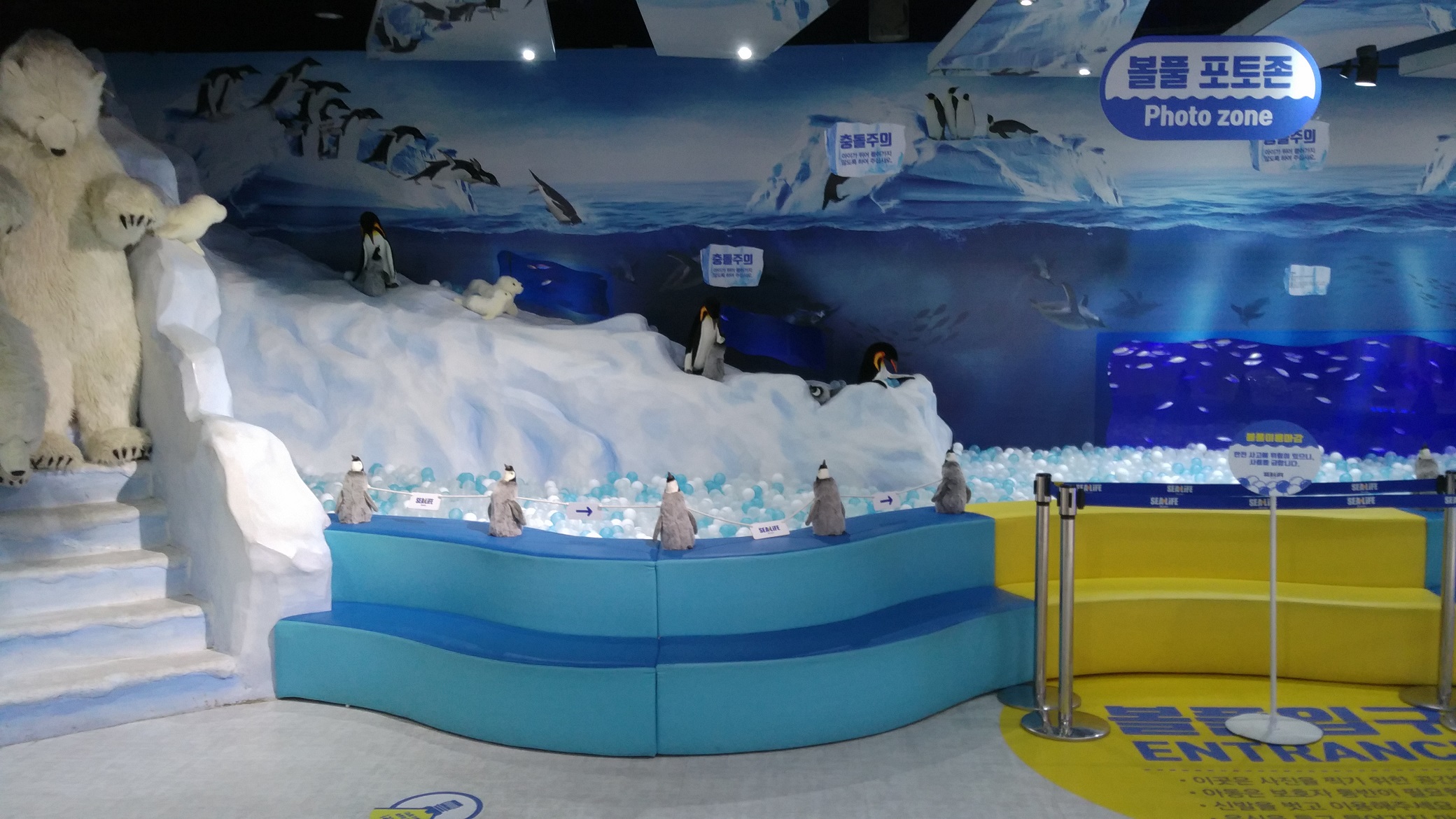 해양 테마파크 SEA LIFE 아쿠아리움의 볼풀포토존 사진