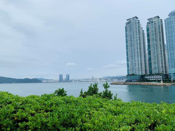 크기조정 3