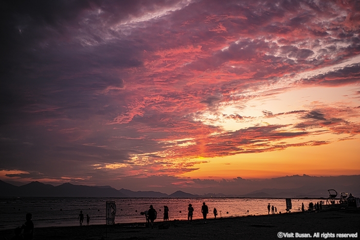 4-5-4 다대포해수욕장 교체_비짓부산_cw10
