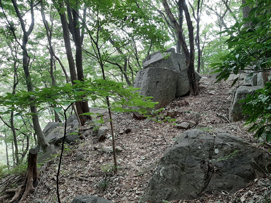 범어사 풍경 : 울창한 소나부와 바위 사진
