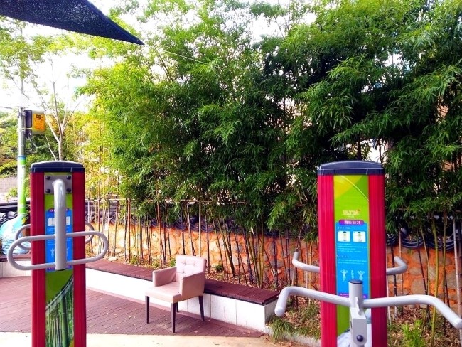 1797팽나무 하우스 내의 운동시설 사진