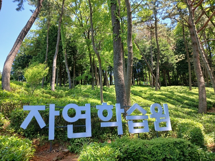 KakaoTalk_20240517_164439525