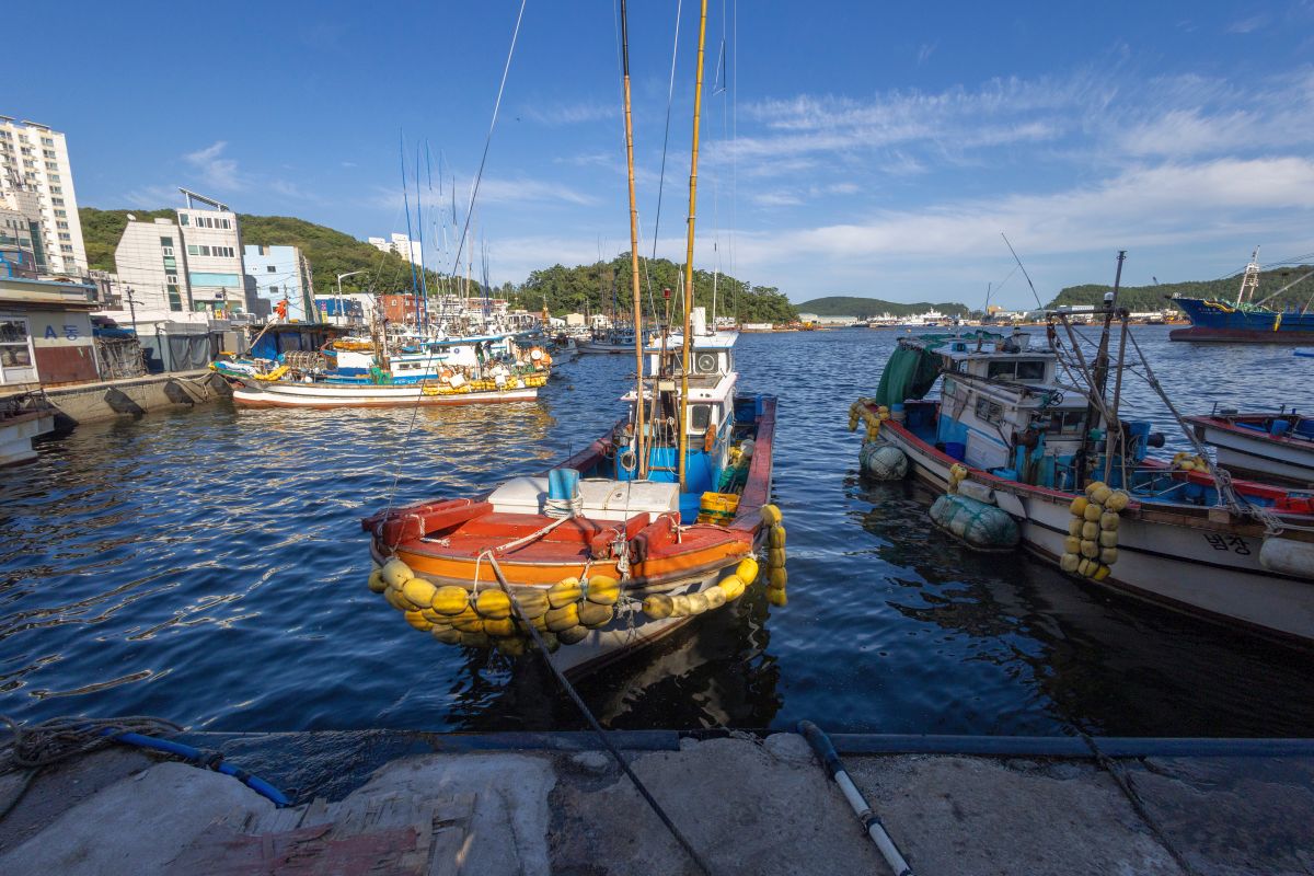 다대활어재래시장2