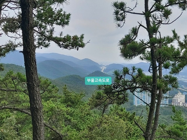 부울고속도로